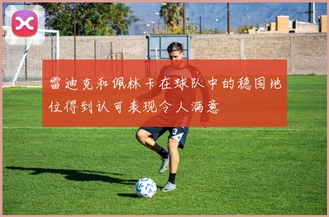 雷迪克和佩林卡在球队中的稳固地位得到认可表现令人满意