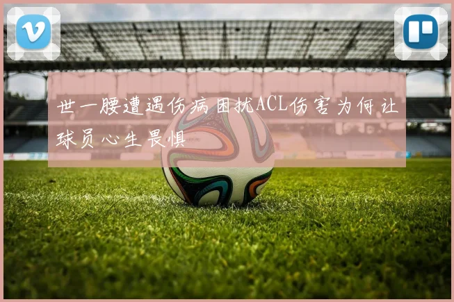 世一腰遭遇伤病困扰ACL伤害为何让球员心生畏惧